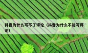 抖音为什么写不了评论（抖音为什么不能写评论）