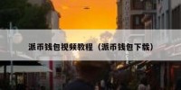 派币钱包视频教程（派币钱包下载）