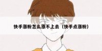 快手涨粉怎么涨不上去（快手点涨粉）