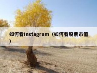 如何看Instagram（如何看股票市值）