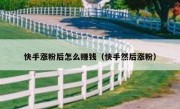 快手涨粉后怎么赚钱（快手然后涨粉）
