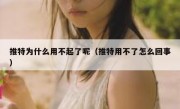 推特为什么用不起了呢（推特用不了怎么回事）