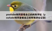 youtube如何查看自己的所有评论（youtube如何查看自己的所有评论记录）