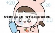 今天限号沧州孟村（今天沧州孟村县限号吗）