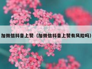 加微信抖音上赞（加微信抖音上赞有风险吗）