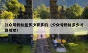 公众号粉丝量多少算多的（公众号粉丝多少才算成功）