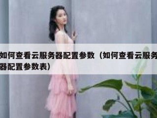 如何查看云服务器配置参数（如何查看云服务器配置参数表）