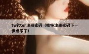 twitter注册密码（推特注册密码下一步点不了）