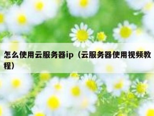 怎么使用云服务器ip（云服务器使用视频教程）