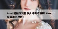 ins小视频浏览量多少才有收益呢（ins视频浏览次数）