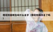 樱花校园现在叫什么名字（樱花校园改名了吗）