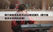 限行被拍怎么处罚2022规定图片（限行被拍多长时间内处理）