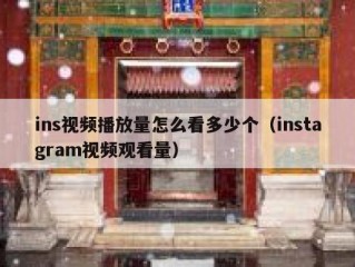 ins视频播放量怎么看多少个（instagram视频观看量）