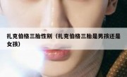 扎克伯格三胎性别（扎克伯格三胎是男孩还是女孩）