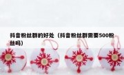 抖音粉丝群的好处（抖音粉丝群需要500粉丝吗）