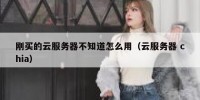 刚买的云服务器不知道怎么用（云服务器 chia）