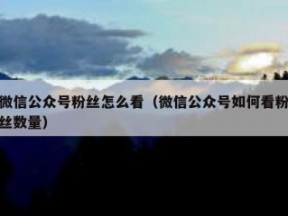 微信公众号粉丝怎么看（微信公众号如何看粉丝数量）
