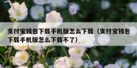 支付宝钱包下载手机版怎么下载（支付宝钱包下载手机版怎么下载不了）