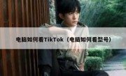 电脑如何看TikTok（电脑如何看型号）