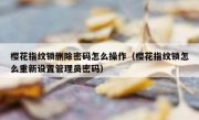 樱花指纹锁删除密码怎么操作（樱花指纹锁怎么重新设置管理员密码）