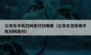 公交车手机扫码支付扫哪里（公交车怎样用手机扫码支付）