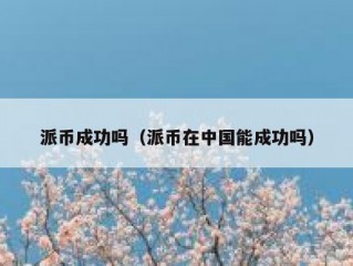 派币成功吗（派币在中国能成功吗）
