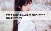 苹果手机国内怎么上推特（国内iphone怎么上twitter）
