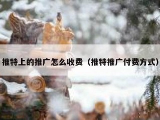 推特上的推广怎么收费（推特推广付费方式）