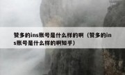 赞多的ins账号是什么样的啊（赞多的ins账号是什么样的啊知乎）