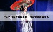 什么叫抖音粉丝团名称（抖音粉丝团是什么）