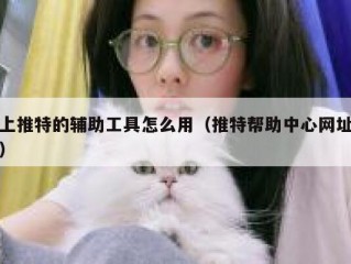 上推特的辅助工具怎么用（推特帮助中心网址）