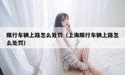 限行车辆上路怎么处罚（上海限行车辆上路怎么处罚）