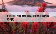 Twitter在国内能用吗（推特在国内能用吗?）