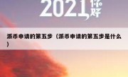 派币申请的第五步（派币申请的第五步是什么）