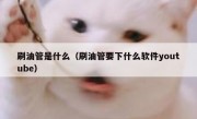 刷油管是什么（刷油管要下什么软件youtube）
