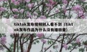 tiktok发布视频别人看不到（tiktok发布作品为什么没有播放量）