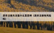派币注册方法是什么意思啊（派币注册有风险吗）