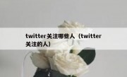 twitter关注哪些人（twitter关注的人）