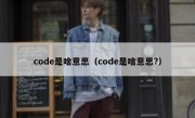 code是啥意思（code是啥意思?）