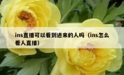 ins直播可以看到进来的人吗（ins怎么看人直播）