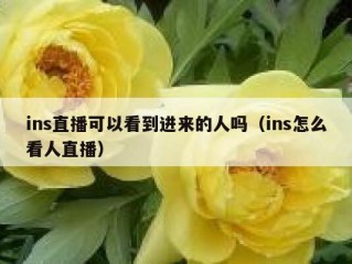 ins直播可以看到进来的人吗（ins怎么看人直播）
