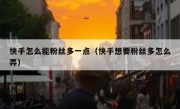 快手怎么能粉丝多一点（快手想要粉丝多怎么弄）