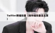 Twitter刷播放量（推特播放量怎么算）
