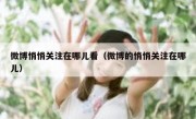 微博悄悄关注在哪儿看（微博的悄悄关注在哪儿）