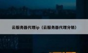 云服务器代理ip（云服务器代理分销）