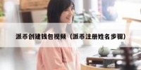派币创建钱包视频（派币注册姓名步骤）