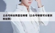 公众号粉丝数量在哪看（公众号哪里可以看到粉丝数）