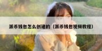 派币钱包怎么创建的（派币钱包视频教程）