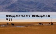 樱桃app怎么打不开了（樱桃app怎么看不了）