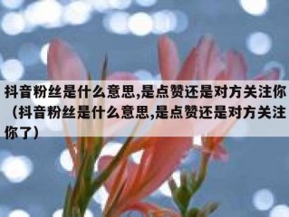 抖音粉丝是什么意思,是点赞还是对方关注你（抖音粉丝是什么意思,是点赞还是对方关注你了）